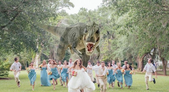 crazy wedding party attack pictures 01 in Top 7 Crazy Wedding Disaster Photographs