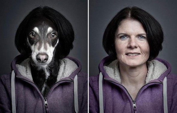 dogs dressed as their owners 03 in They Say Dogs Reflect Their Owners Characteristics. These Photos Prove This
