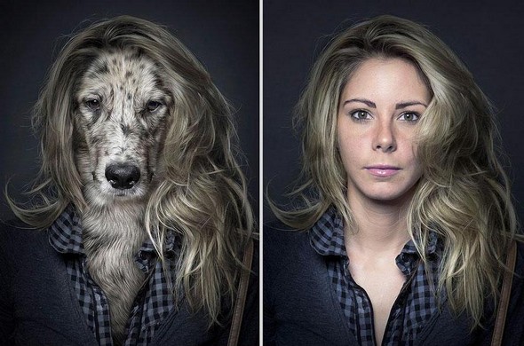 dogs dressed as their owners 04 in They Say Dogs Reflect Their Owners Characteristics. These Photos Prove This