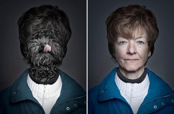dogs dressed as their owners 05 in They Say Dogs Reflect Their Owners Characteristics. These Photos Prove This