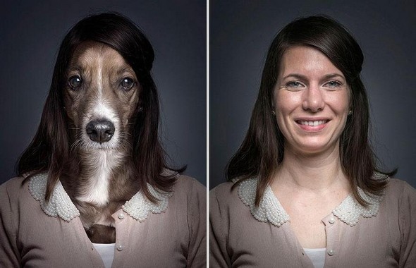 dogs dressed as their owners 06 in They Say Dogs Reflect Their Owners Characteristics. These Photos Prove This