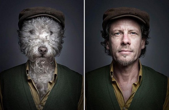 dogs dressed as their owners 07 in They Say Dogs Reflect Their Owners Characteristics. These Photos Prove This