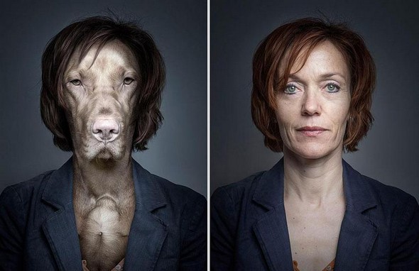 dogs dressed as their owners 08 in They Say Dogs Reflect Their Owners Characteristics. These Photos Prove This